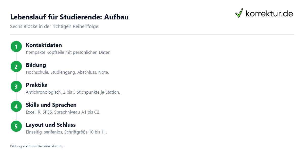 Lebenslauf für Studierende, Aufbau Schritt für Schritt