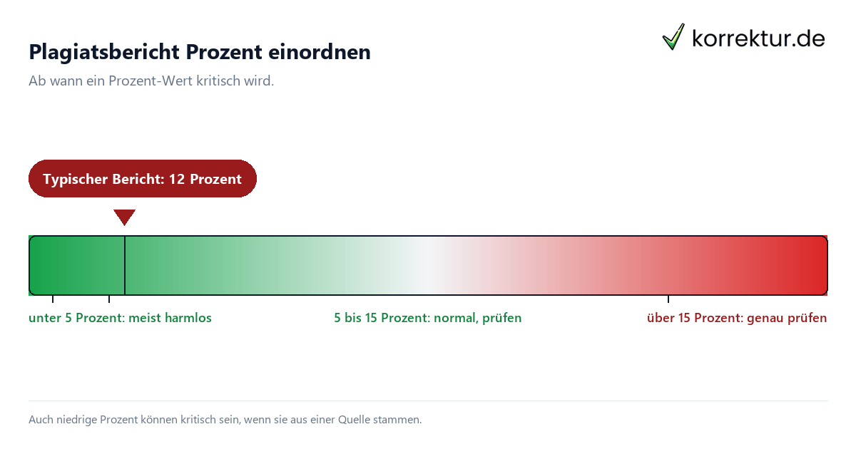 Plagiatsbericht Prozent
