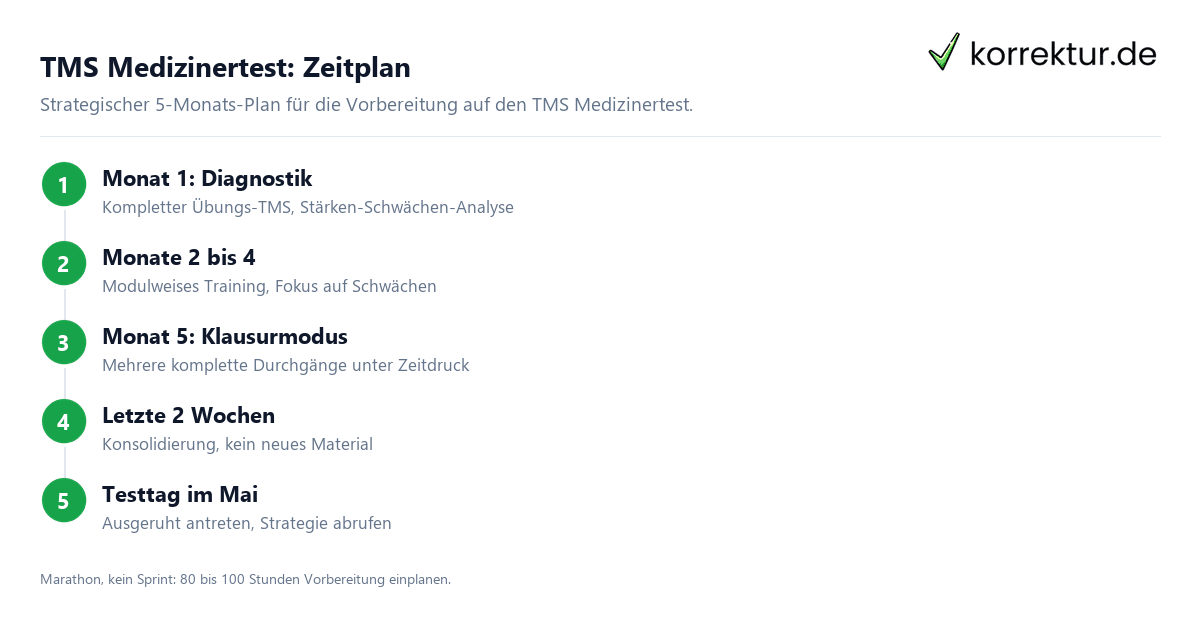 Zeitplan Vorbereitung TMS Medizinertest in fünf Phasen