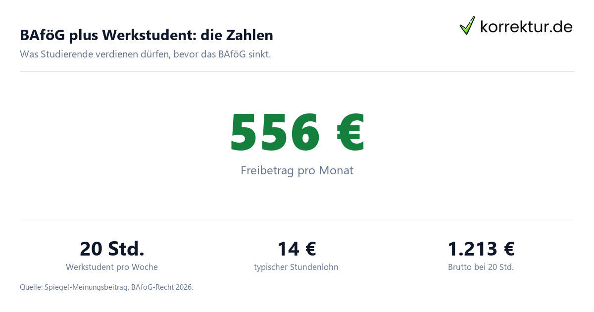 Werkstudent neben BAföG Freibetrag und Verdienstgrenzen im Überblick