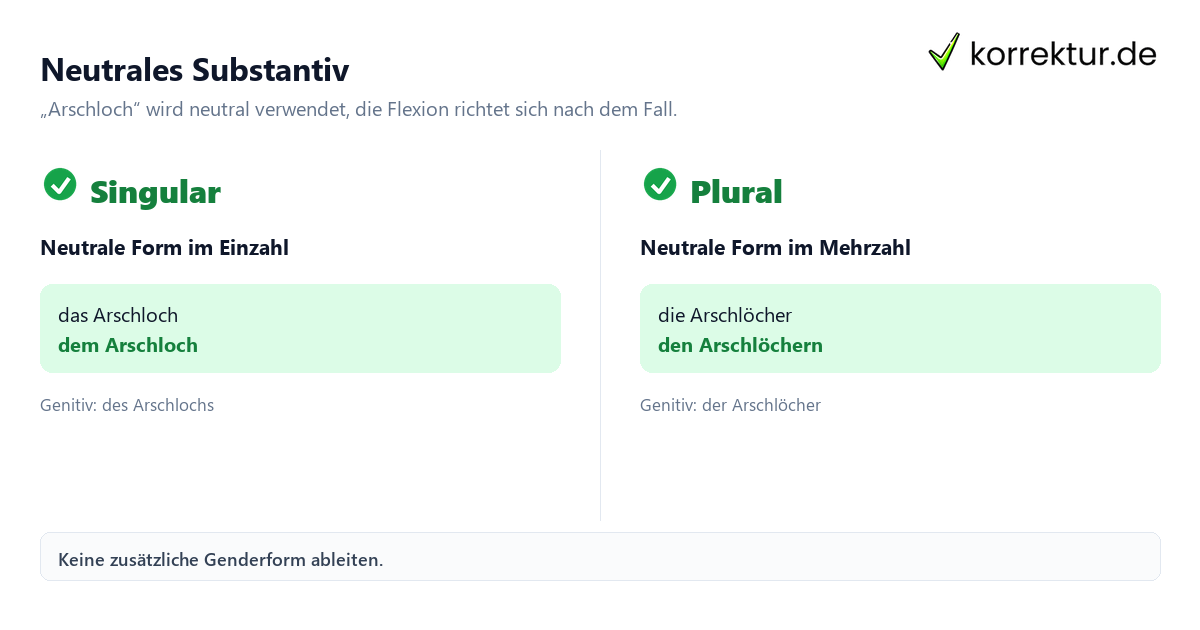 Arschloch richtig gendern und grammatisch verwenden: Singular und Plural