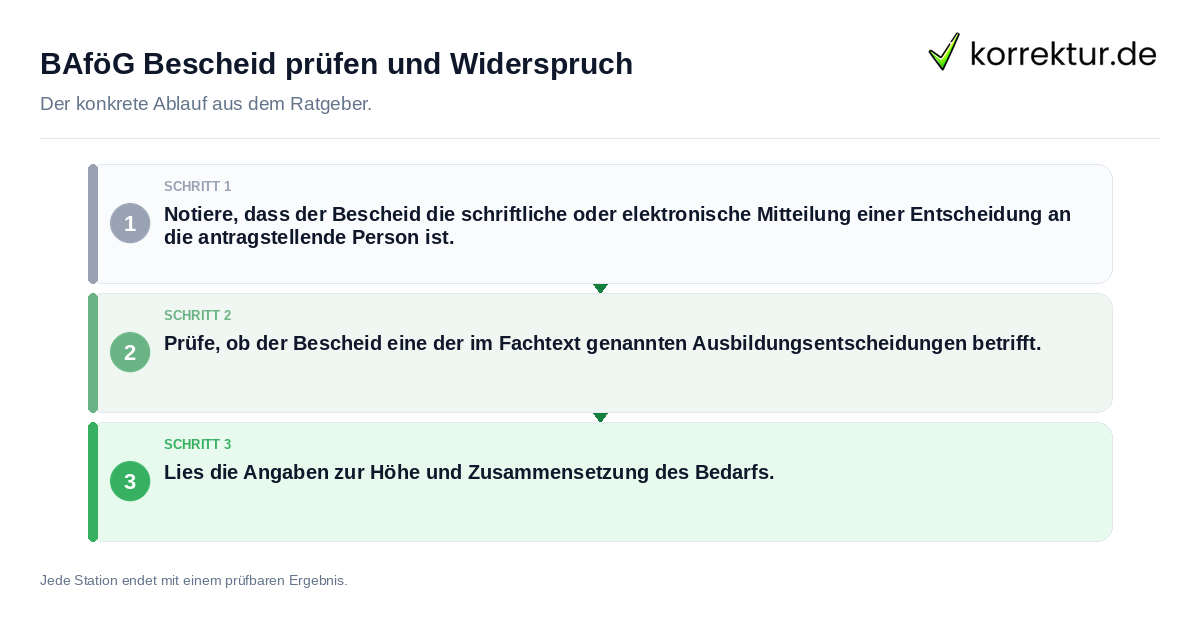 Konkrete Schritte zu BAföG Bescheid prüfen und Widerspruch