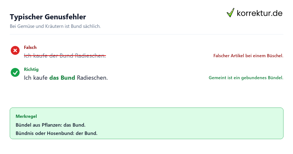 Typischer Genusfehler der oder das Bund richtig verwenden: Beispiel mit Radieschen