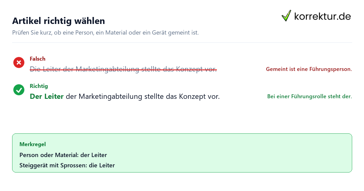 Artikel richtig wählen der oder die Leiter richtig verwenden