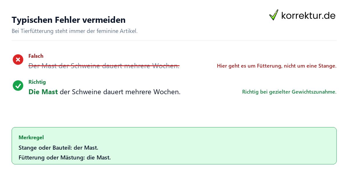 Typischen Fehler vermeiden Der oder die Mast richtig verwenden
