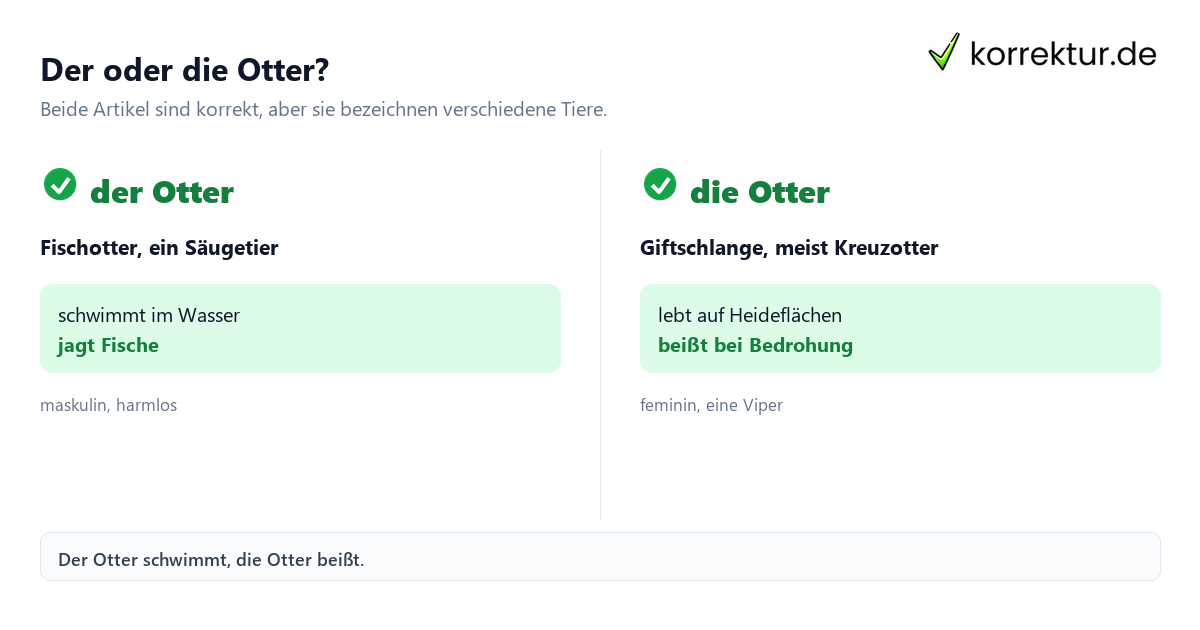 Der oder die Otter? Der oder die Otter: Vergleich von Fischotter und Kreuzotter