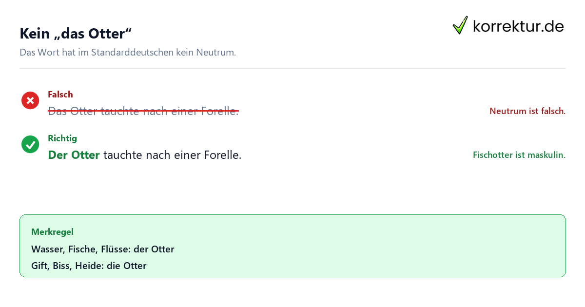 Kein „das Otter“ Der oder die Otter richtig verwenden: kein das Otter