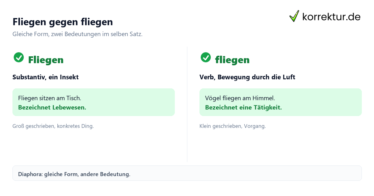 Diaphora einfach veranschaulicht: Fliegen als Substantiv und Verb