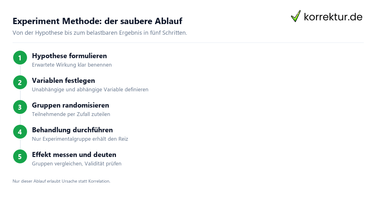Experiment Methode Schritt für Schritt planen