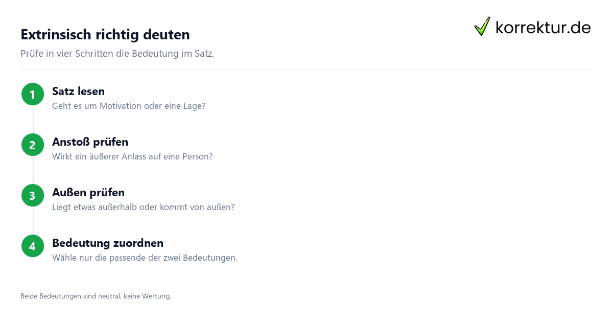 Was bedeutet „extrinsisch“? Bedeutung im Satzkontext prüfen