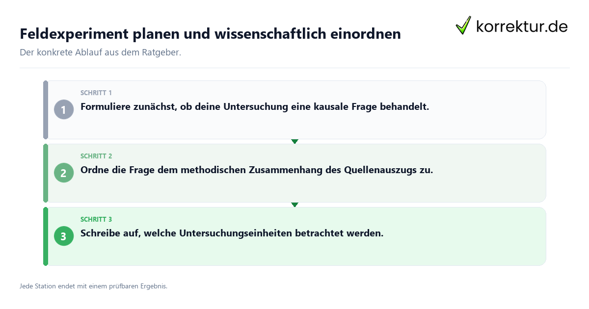 Konkrete Schritte zu Feldexperiment planen und wissenschaftlich einordnen