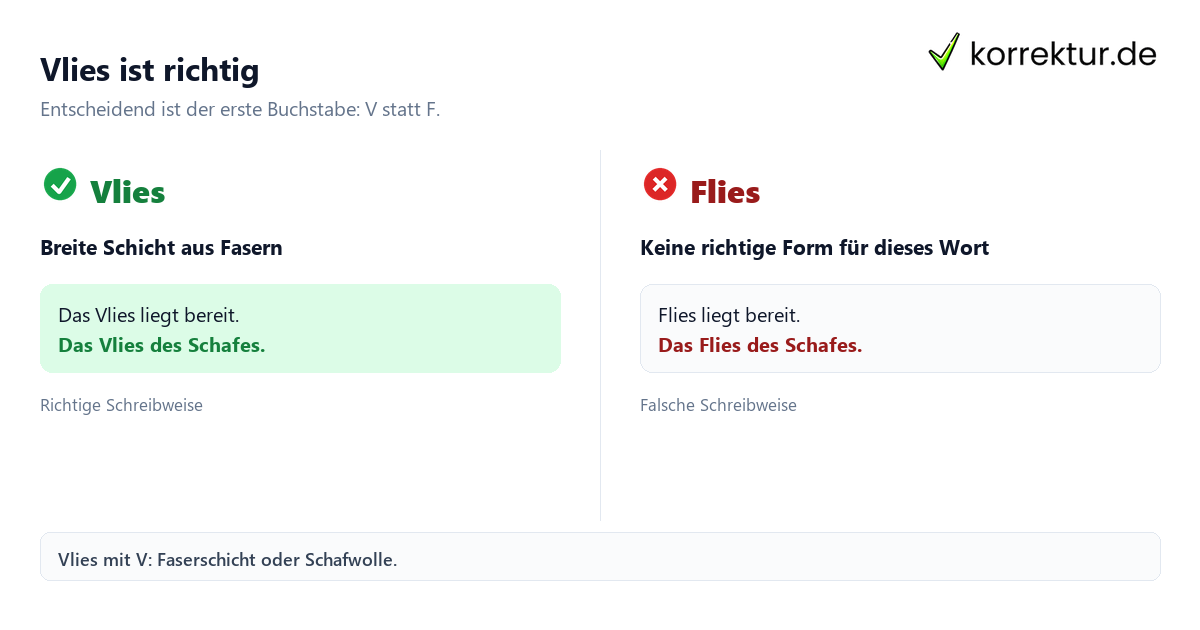 Vlies ist richtig Flies oder Vlies: richtige Schreibweise im Vergleich