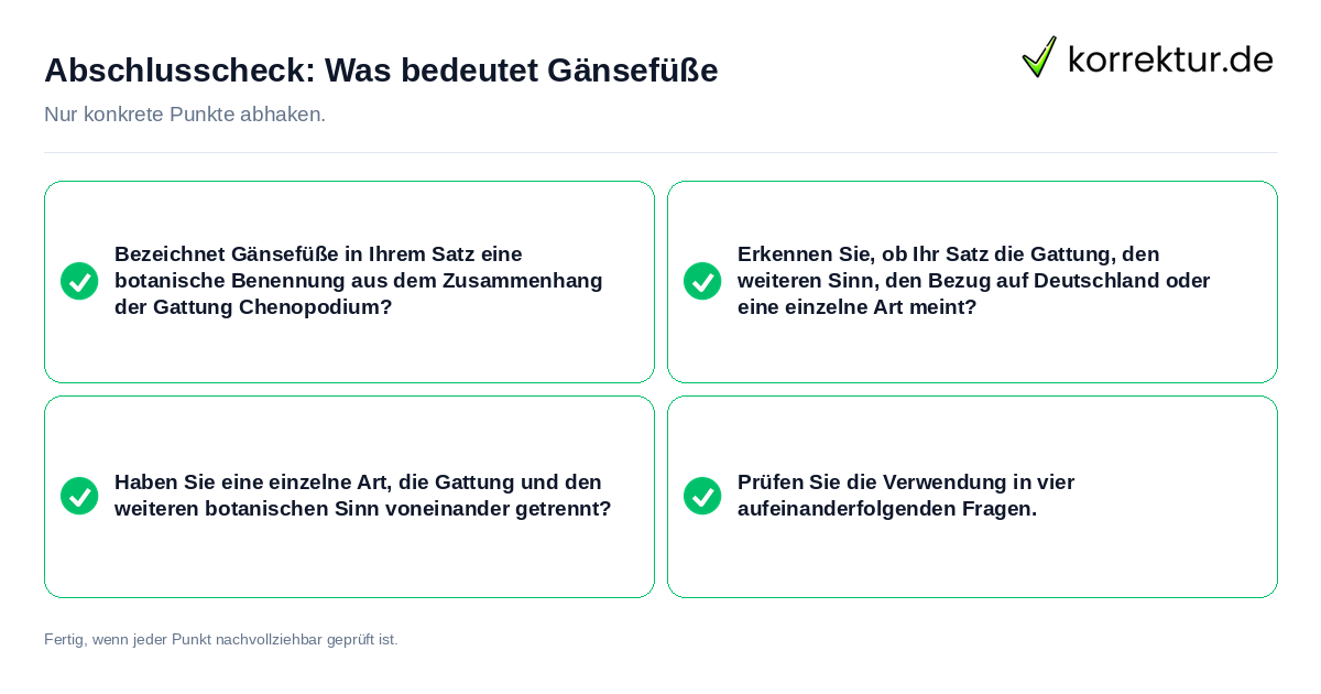 Konkreter Abschlusscheck zu Was bedeutet Gänsefüße