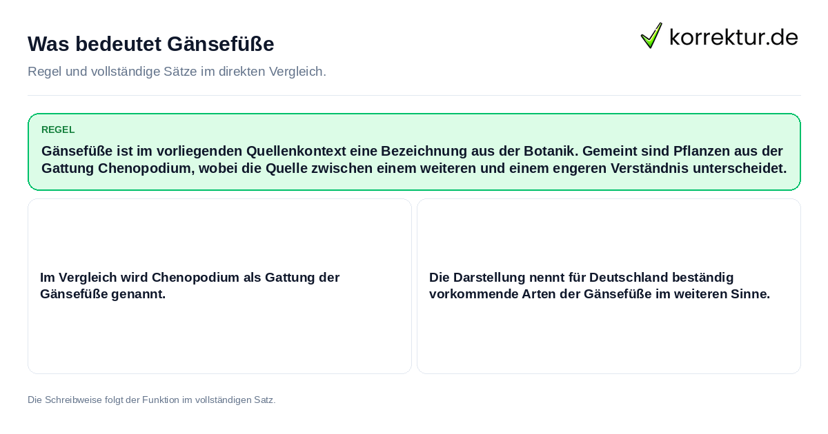 Konkrete Regel und vollständige Beispielsätze zu Was bedeutet Gänsefüße