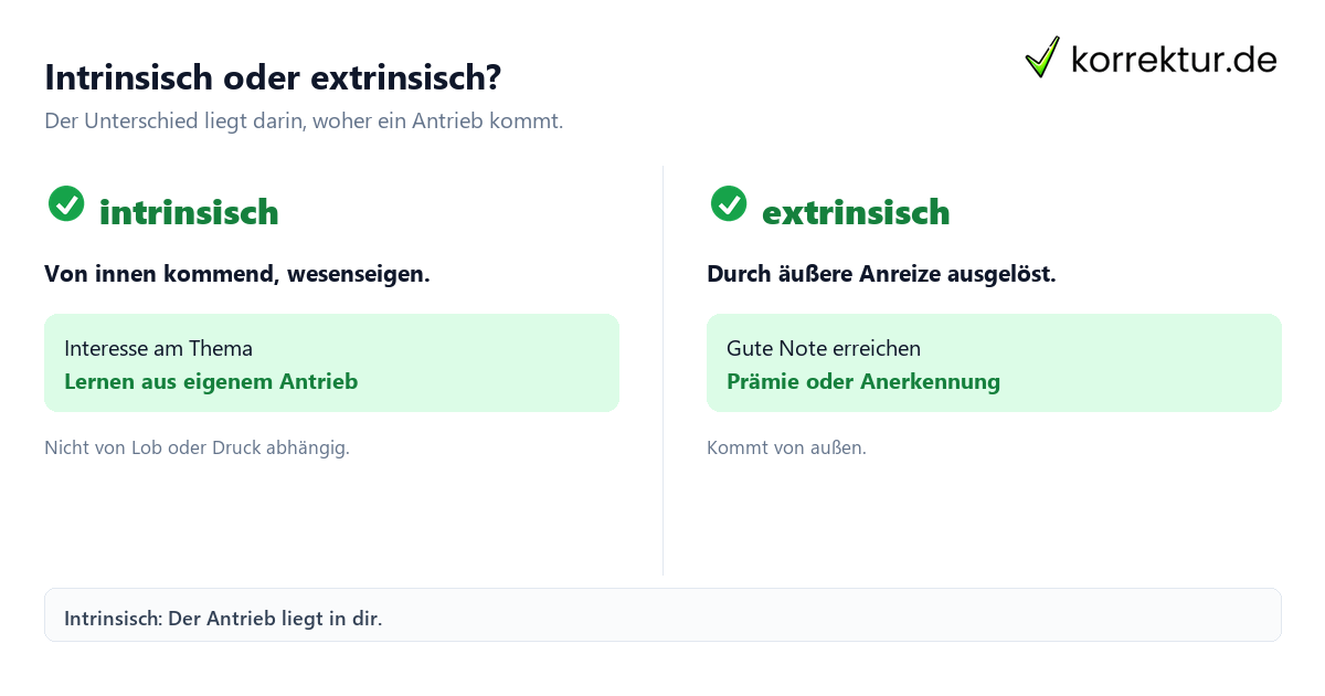 intrinsisch Bedeutung intrinsisch Bedeutung: Überblick