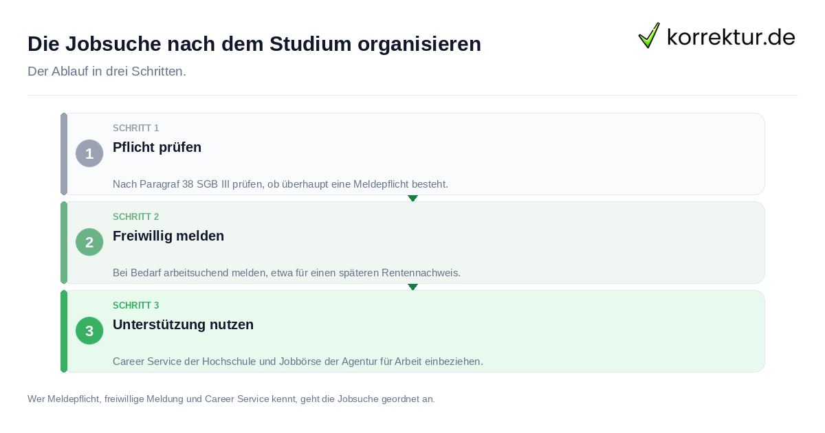 Die Jobsuche nach dem Studium organisieren: der Ablauf in drei Schritten