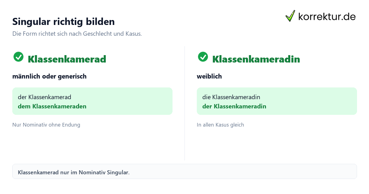Singular richtig bilden Klassenkamerad gendergerecht und korrekt verwenden: Singularformen im Vergleich