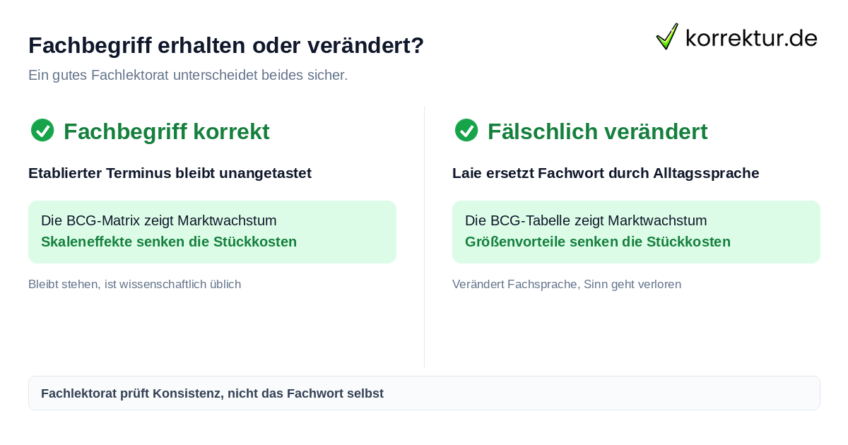 BWL-Fachlektorat für Bachelorarbeit und Masterarbeit: Fachbegriff korrekt vs. falsch vereinheitlicht