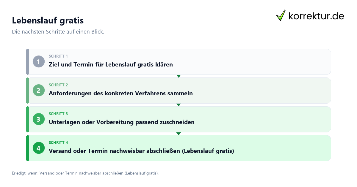 Lebenslauf gratis mit einem Ablauf aus Prüfung, Kontakt und Dokumentation