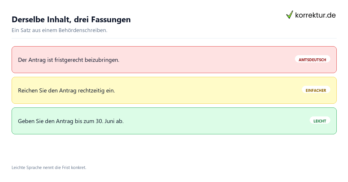Derselbe Inhalt, drei Fassungen Leichte Sprache: Fassungen desselben Satzes