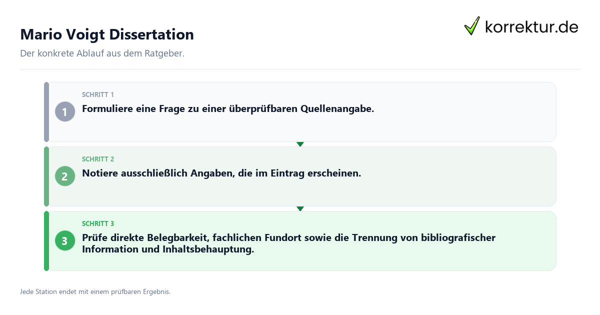 Konkrete Schritte zu Mario Voigt Dissertation