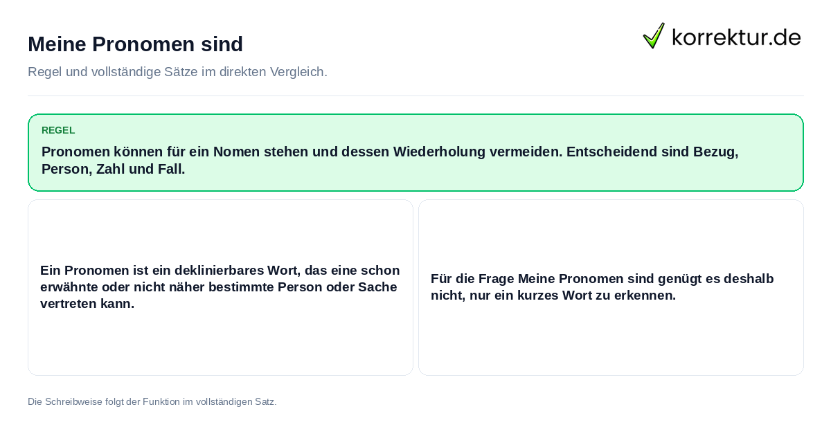 Meine Pronomen sind Konkrete Regel und vollständige Beispielsätze zu Meine Pronomen sind