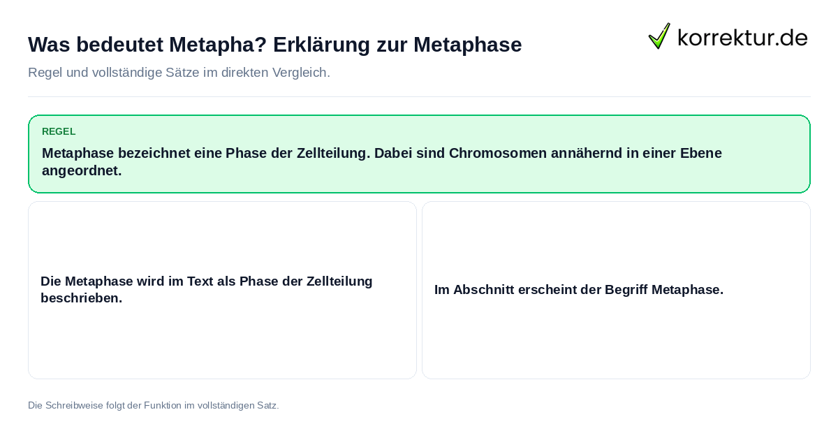 Konkrete Regel und vollständige Beispielsätze zu Was bedeutet Metapha? Erklärung zur Metaphase