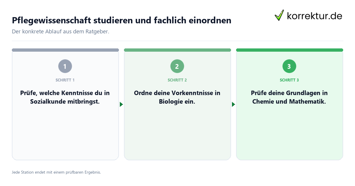 Konkrete Schritte zu Pflegewissenschaft studieren und fachlich einordnen