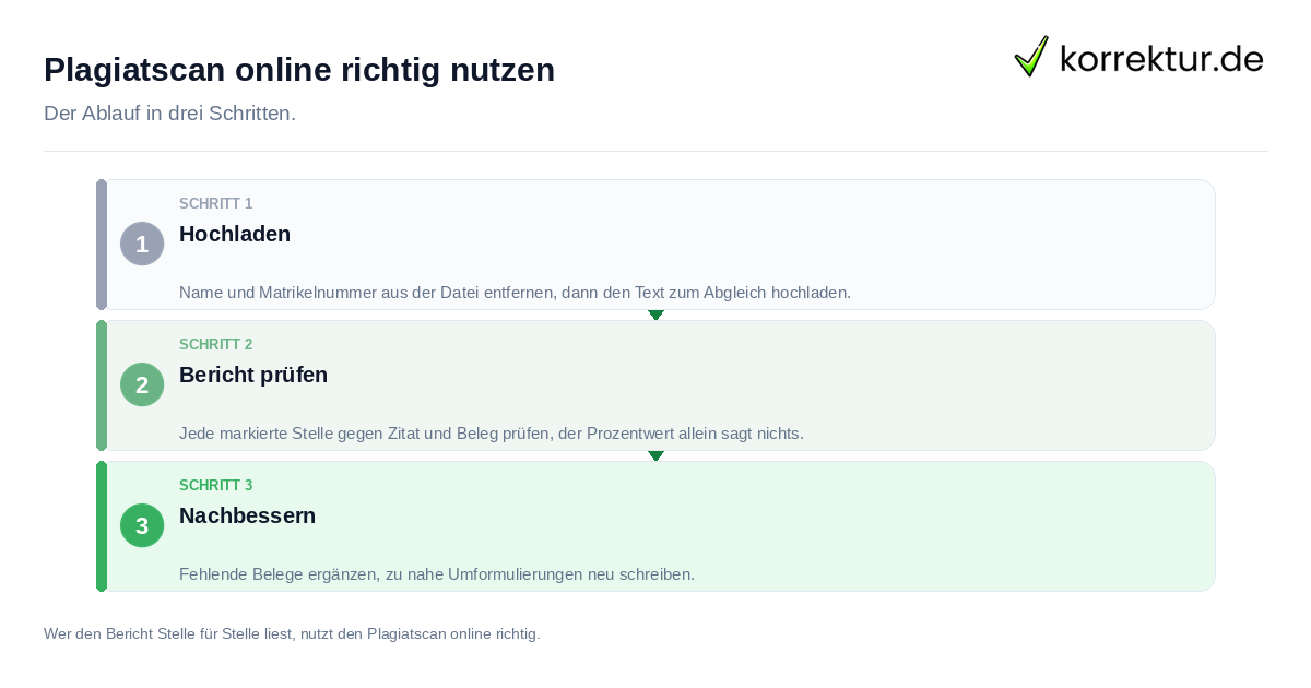 Plagiatscan online richtig nutzen: der Ablauf in drei Schritten