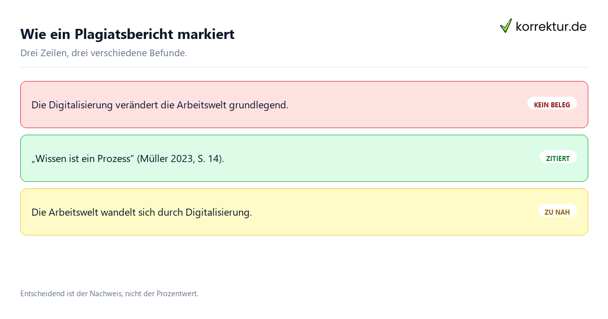 Wie ein Plagiatsbericht markiert Plagiatsbericht: markierte Stellen im Beispiel