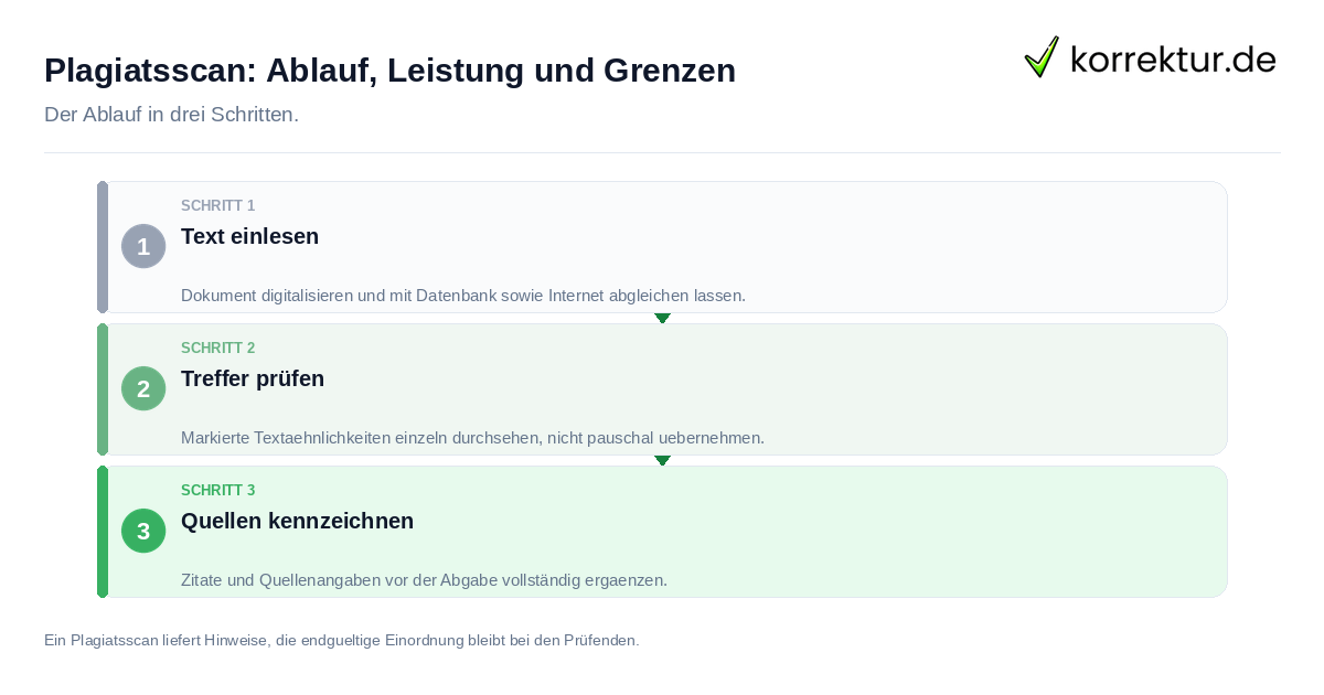 Plagiatsscan: Ablauf, Leistung und Grenzen: der Ablauf in drei Schritten