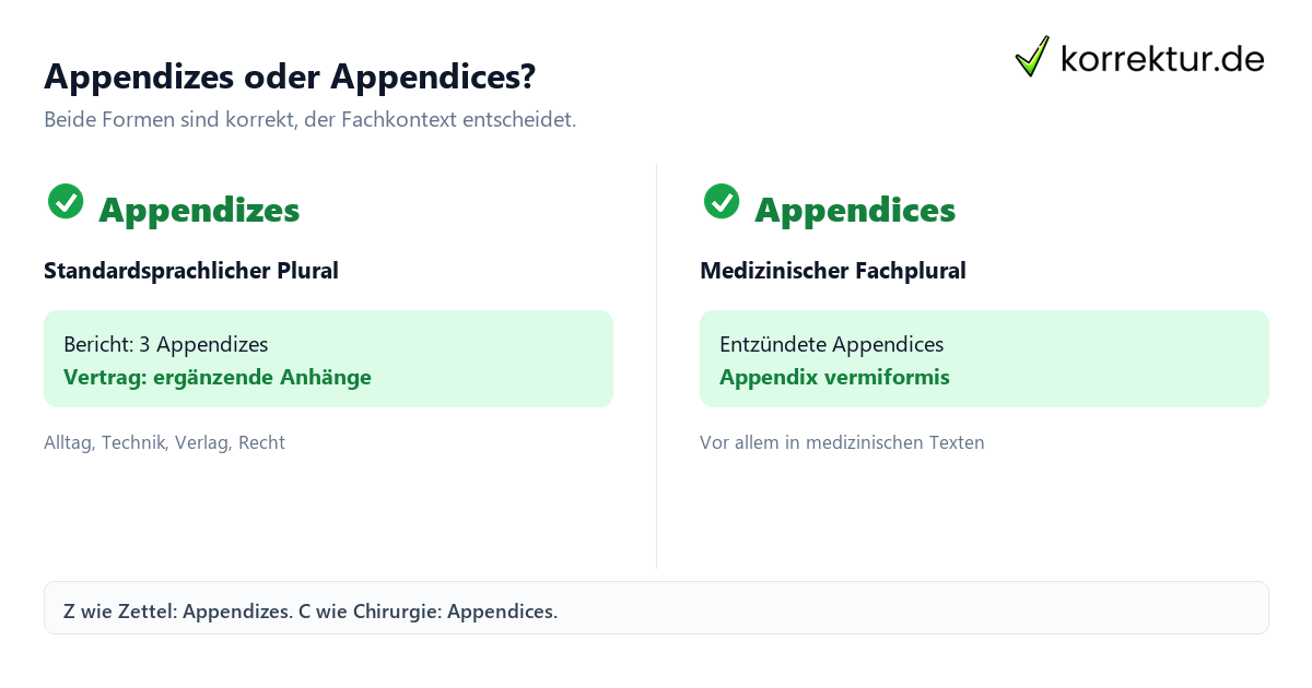 Plural von Appendix: Appendizes und Appendices im Vergleich
