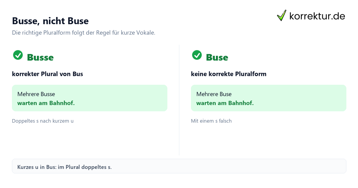 Busse, nicht Buse Plural von Bus: Busse oder Buse im Vergleich