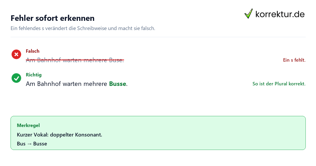 Fehler sofort erkennen Plural von Bus richtig schreiben: Busse statt Buse