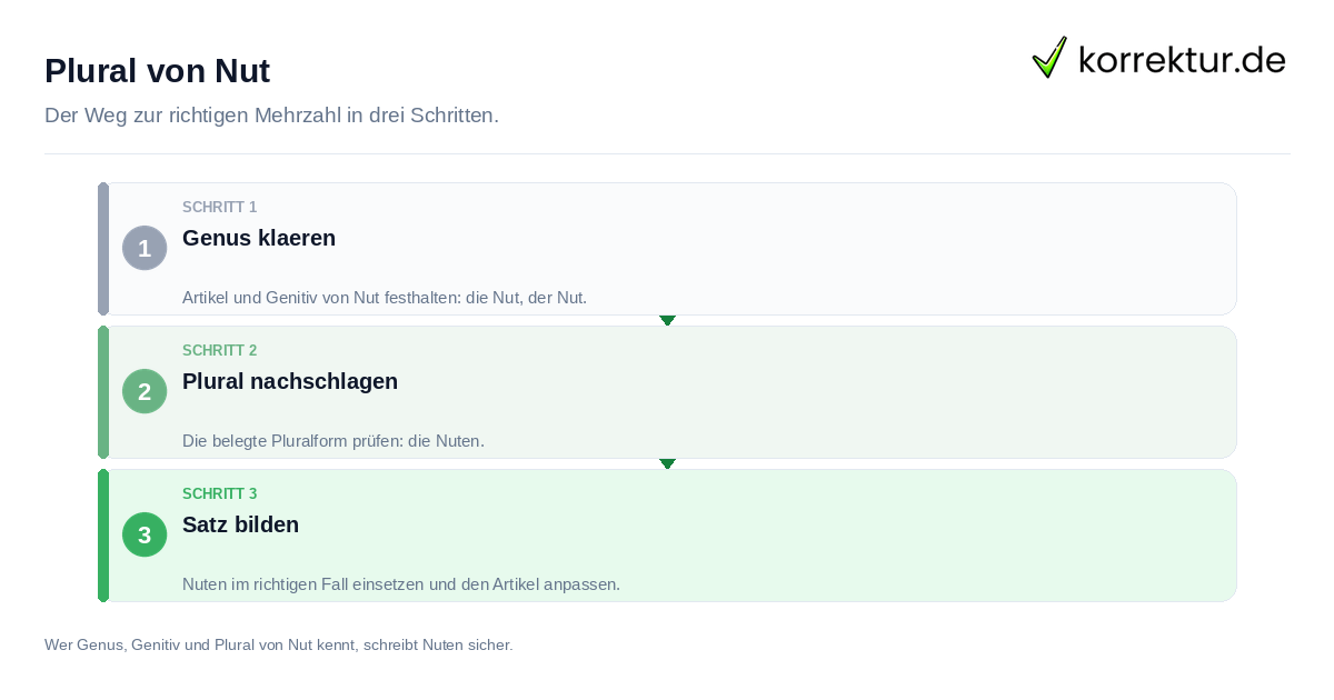 Plural von Nut: der Ablauf in drei Schritten