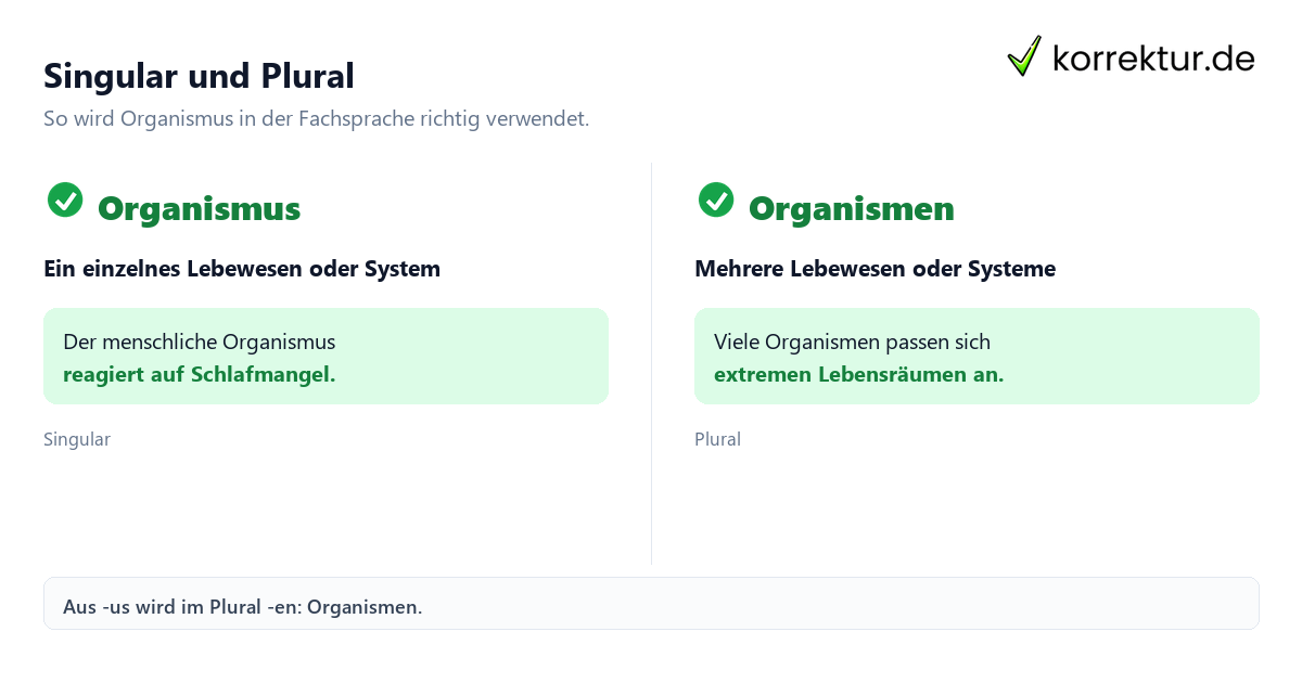 Plural von Organismus: Überblick