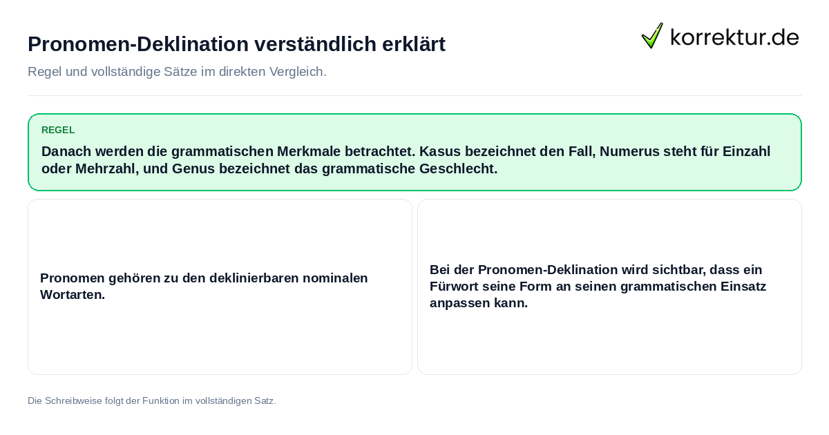 Konkrete Regel und vollständige Beispielsätze zu Pronomen-Deklination verständlich erklärt
