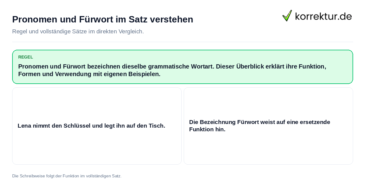 Konkrete Regel und vollständige Beispielsätze zu Pronomen und Fürwort im Satz verstehen