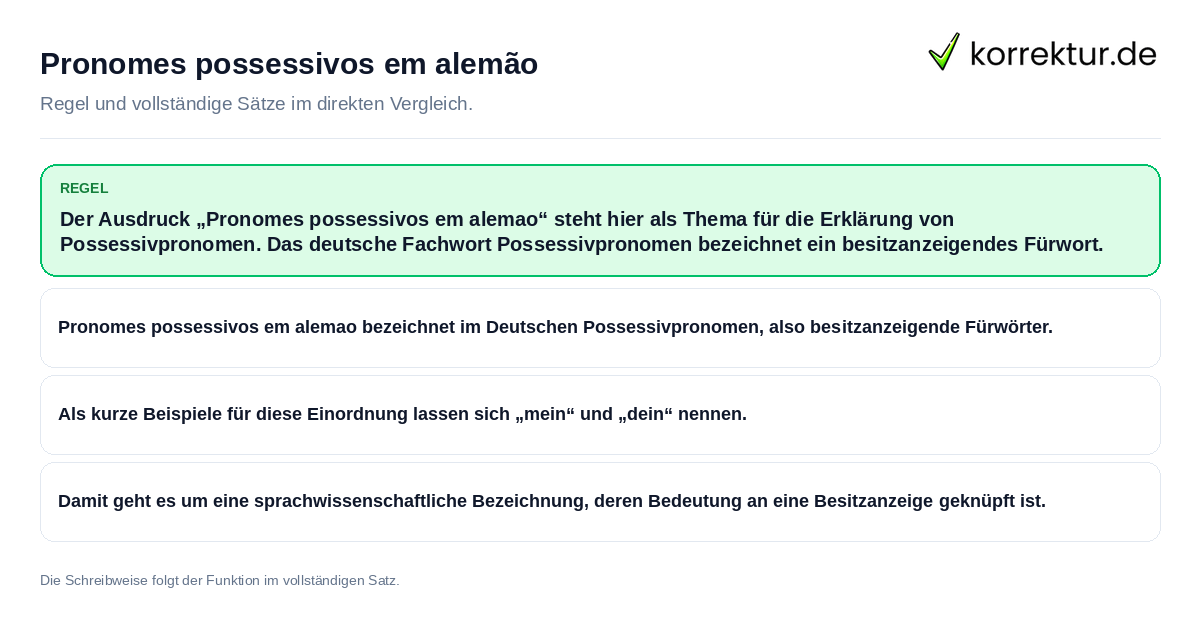 Konkrete Regel und vollständige Beispielsätze zu Pronomes possessivos em alemão