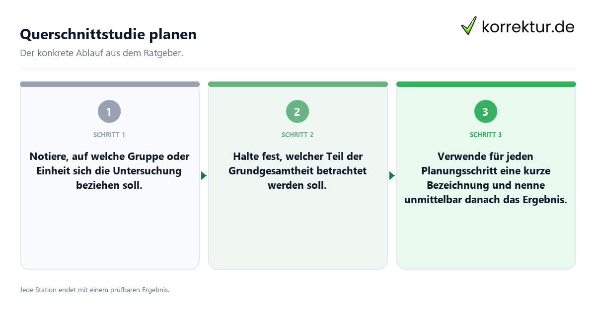 Konkrete Schritte zu Querschnittstudie planen