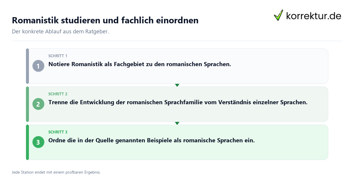 Konkrete Schritte zu Romanistik studieren und fachlich einordnen