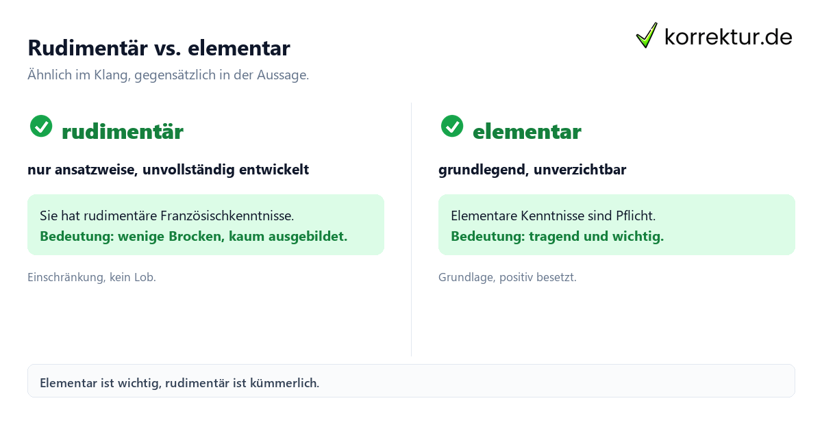 Rudimentär Bedeutung Rudimentär Bedeutung