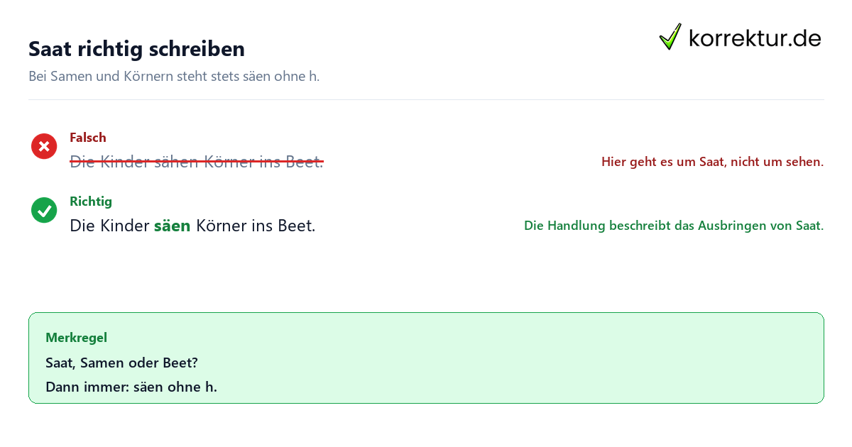 Säen oder sähen: Welche Form ist richtig? Beispiel mit Saat