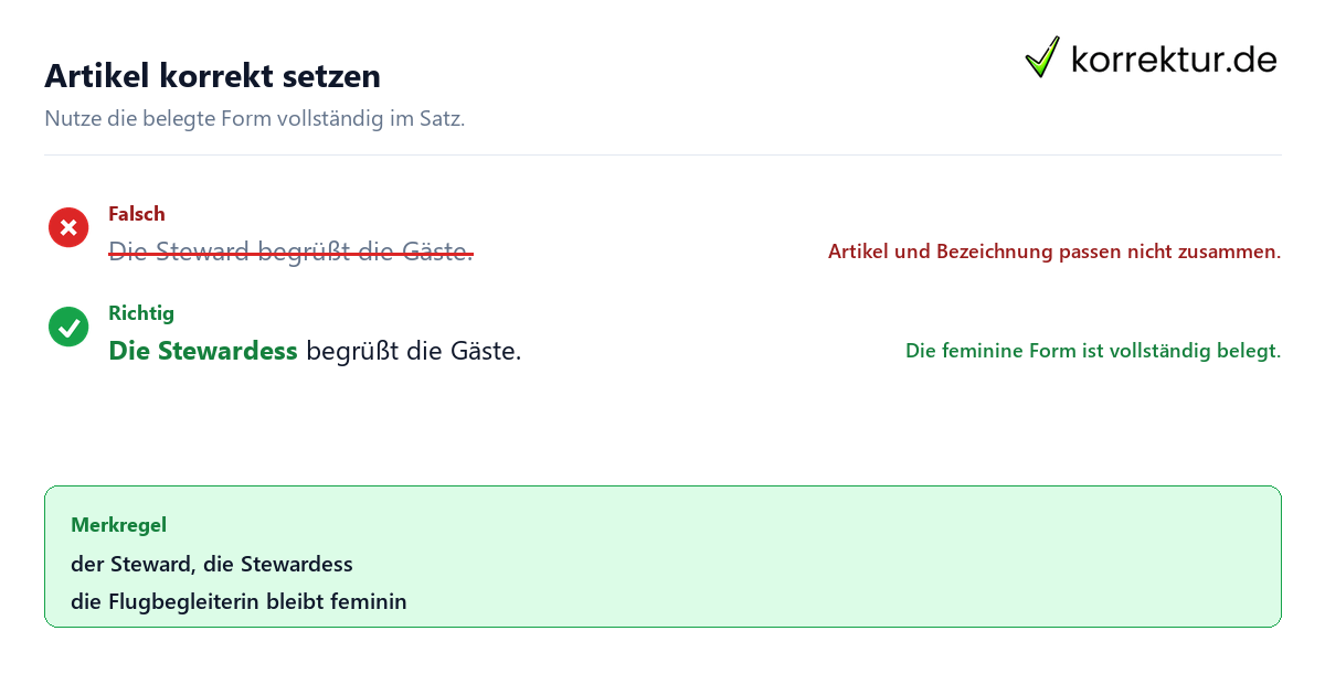 Artikel korrekt setzen Steward, Stewardess oder Flugbegleiterin richtig mit Artikel verwenden