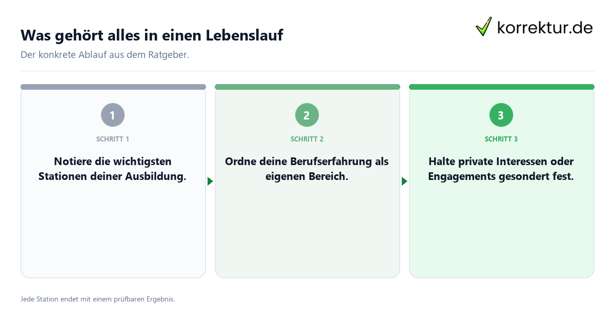 Konkrete Schritte zu Was gehört alles in einen Lebenslauf