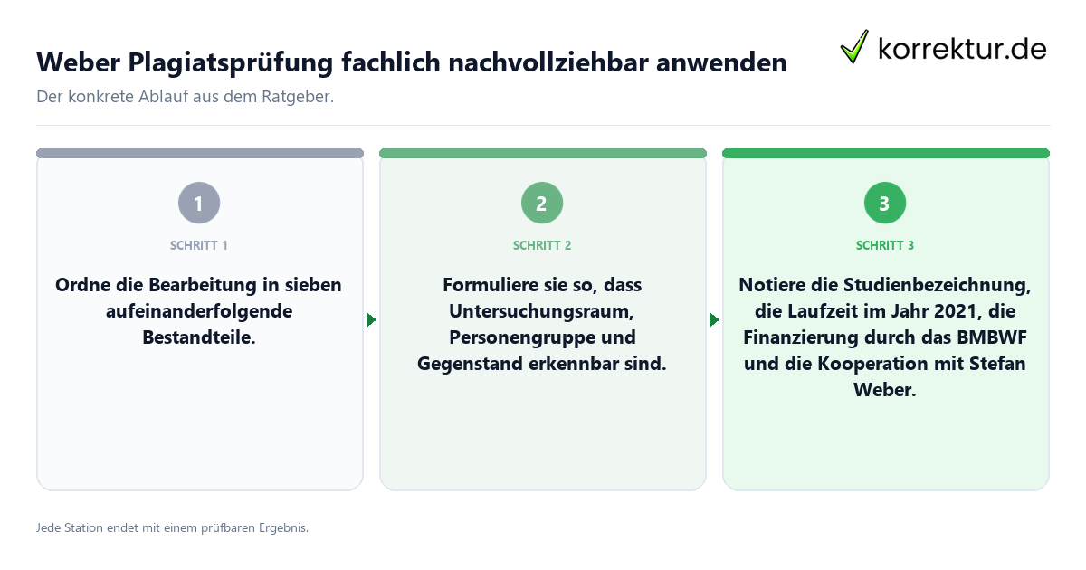 Konkrete Schritte zu Weber Plagiatsprüfung fachlich nachvollziehbar anwenden
