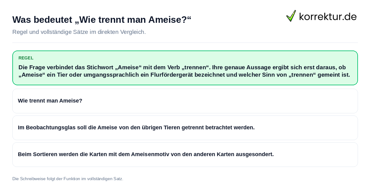 Was bedeutet „Wie trennt man Ameise?“ Konkrete Regel und vollständige Beispielsätze zu Was bedeutet „Wie trennt man Ameise?“